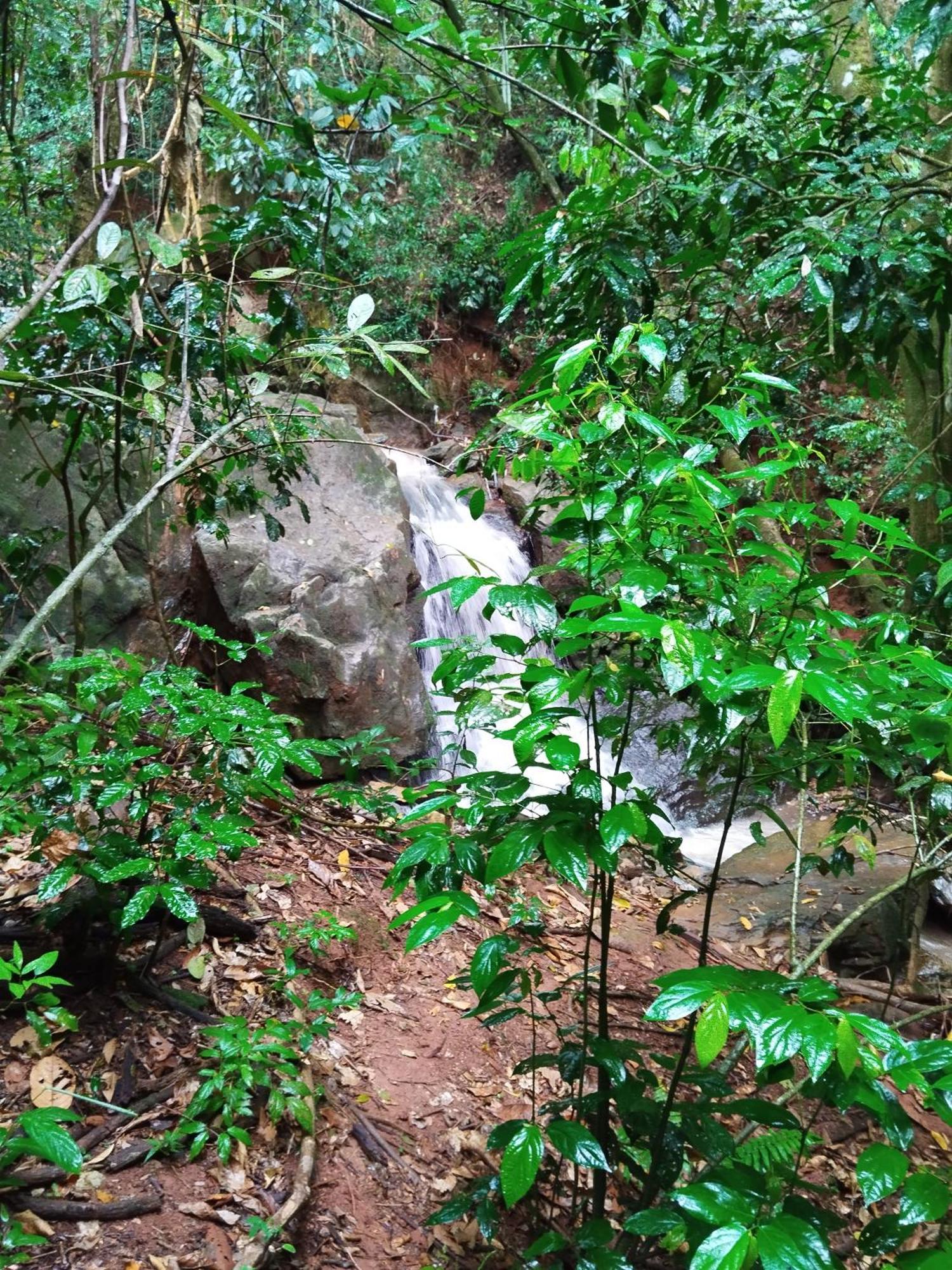 Guest house Magia Aguas