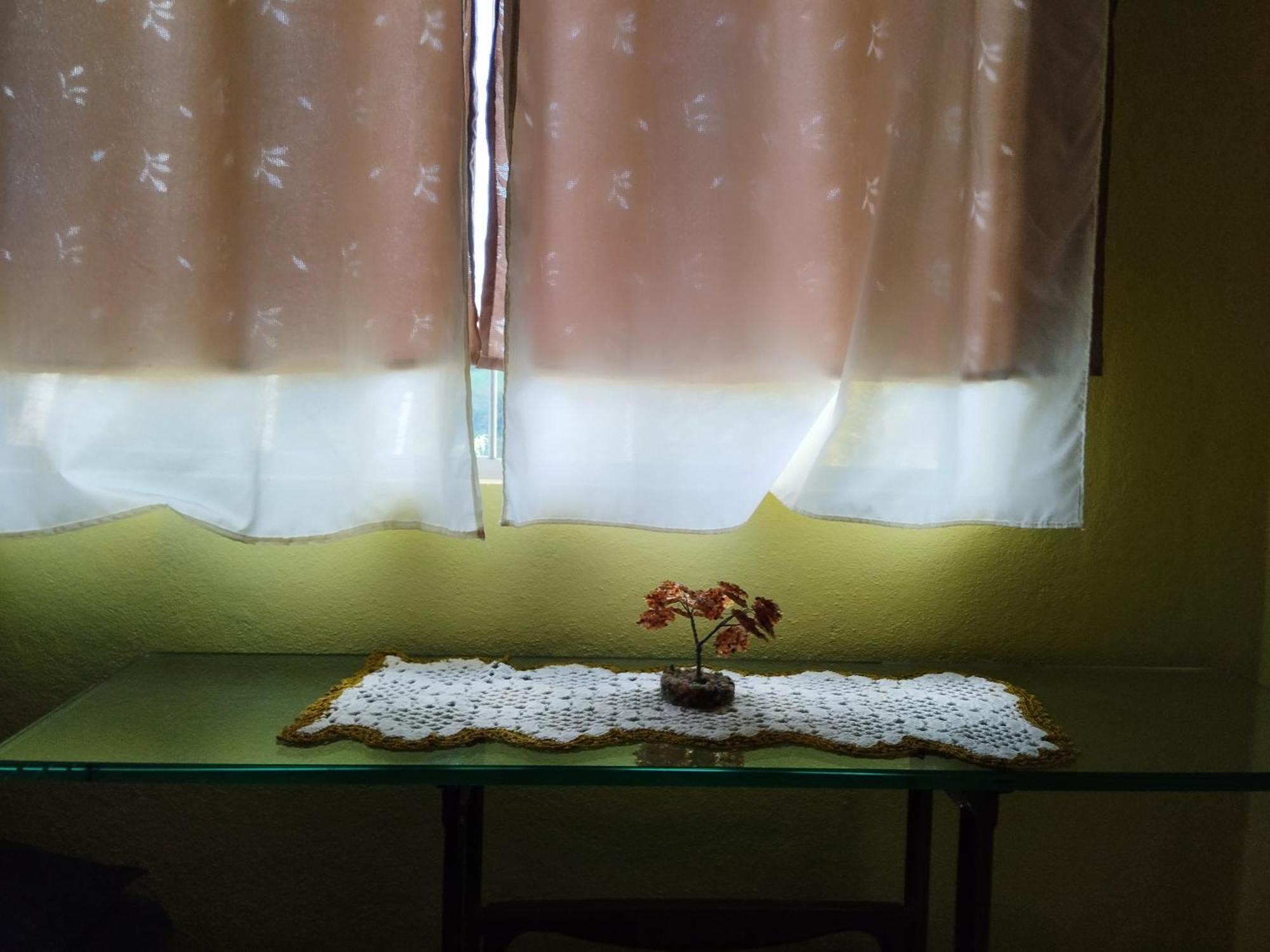 Magia Aguas Guest house